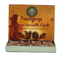 Panchgavya Vastu Samruddhi Dhoop Cup